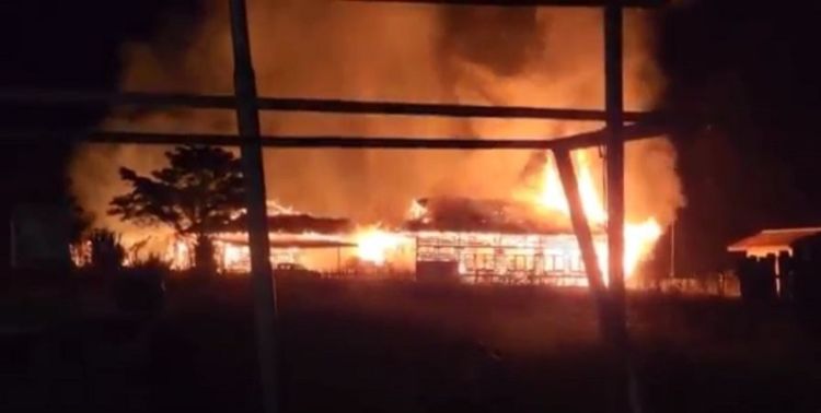 Habis Bakar Sekolah, KKB Papua Bakar  Kantor Dukcapil dan Lepaskan Tembakan
