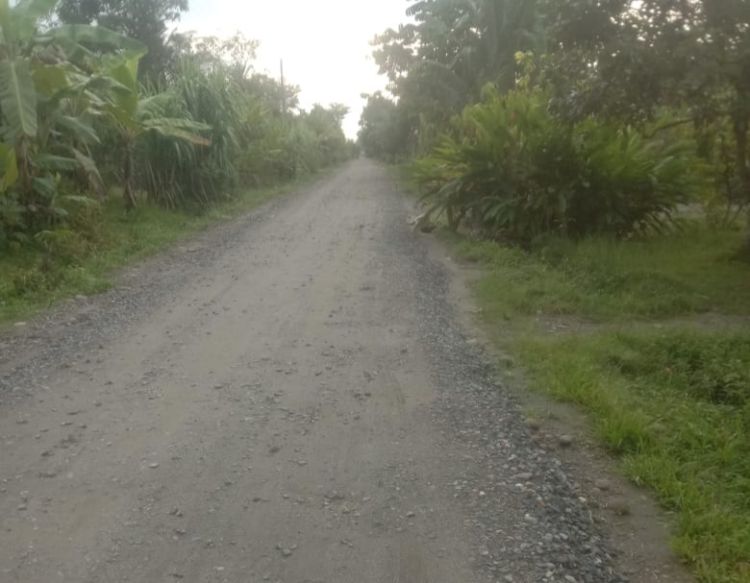 Pak Bupati ! Sudah Tanpa Plank, Pengaspalan Jalan Secanggang Belum Selasai
