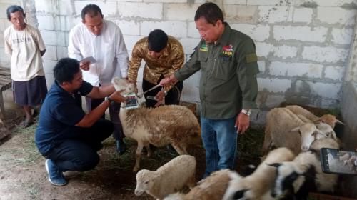 APRN Perkenalkan Program Berternak Kambing Kepada Anak Muda di Bekasi
