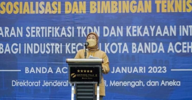 Tingkatkan Daya Saing dan Kuasai Pasar Nasional, Pemerintah Lindungi Produksi Dalam Negeri