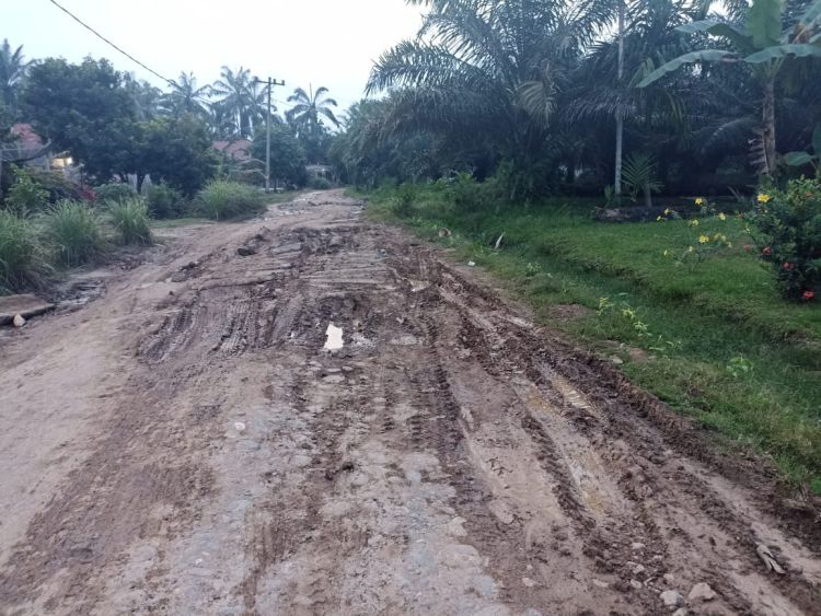 Fakta Mengejutkan, Telusuri Dugaan Korupsi Bersama LIPPSU, Jalan Kelurahan di Labuhanbatu Persis Kubangan