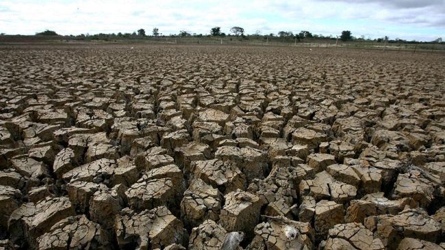 BMKG Prediksi El Nino Hampiri RI, Bikin Kemarau 2023 Lebih Kering