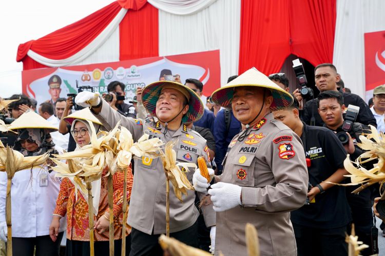 Irwasum Polri Pimpin Panen Jagung Serentak: Wujudkan Astacita Menuju Swasembada Pangan