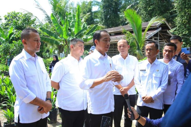 Jalan Rusak di Daerahnya Dikunjungi Jokowi, Ini Tanggapan Bupati Labura