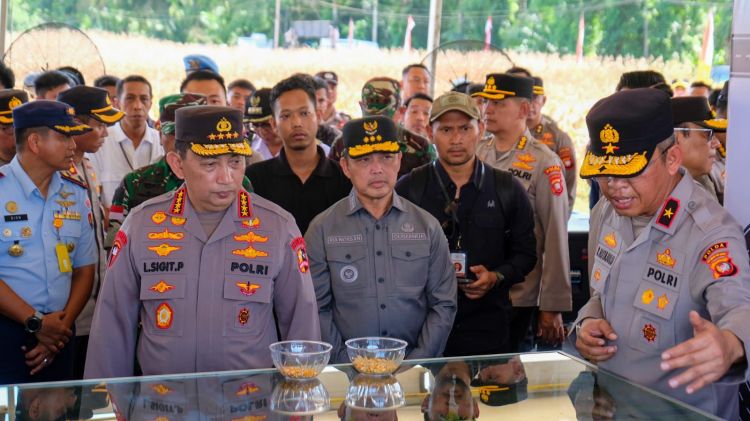 Bakal Dihadiri Presiden, Kapolri Cek Langsung Lokasi Panen Raya Jagung di Kalbar
