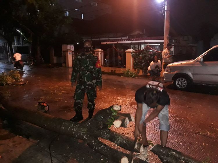 Hujan Deras Landa Kota Medan, Satu Mobil Ditimpa Pohon