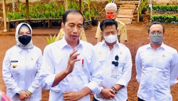 Jokowi Teken Perpres Tunjangan Kinerja Pegawai BRIN, Segini Besarannya