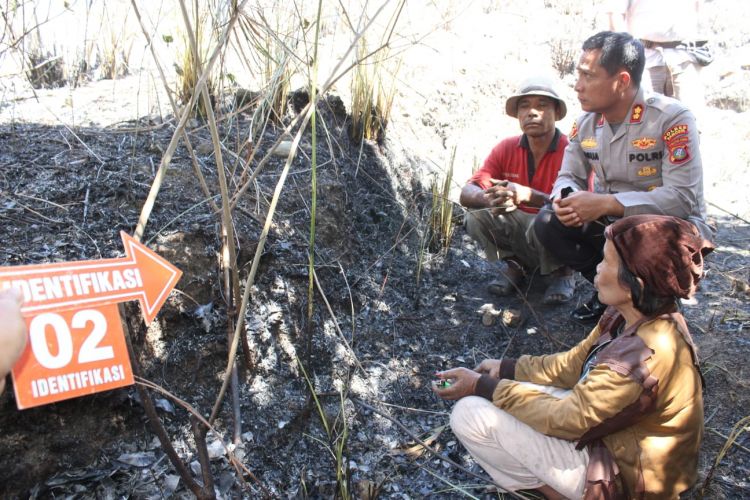 Polda Sumut Tangkap Dua Pembakar Hutan di Samosir