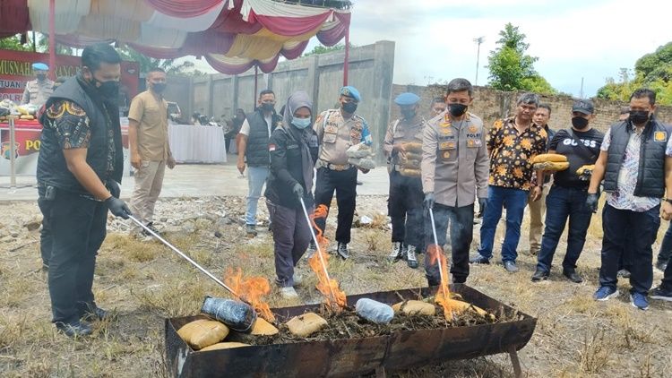 Polrestabes Medan Musnahkan 84 Kg Ganja