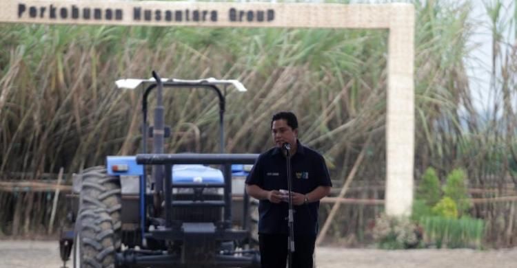 Erick Patok SGN  Kuasai 70%  Pasar Gula Nasional