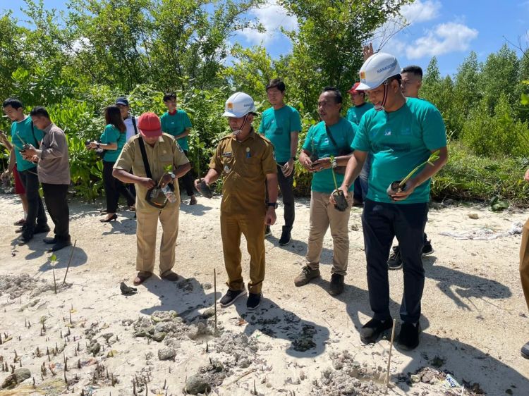 Hari Menanam Pohon, PLN UID Sumatera Utara Tanam 5.000 Bibit Mangrove
