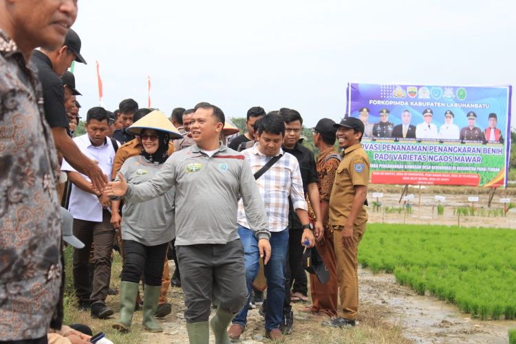 Ide Brilian  Bupati Labuhanbatu   Tertuang Dalam RPJMD