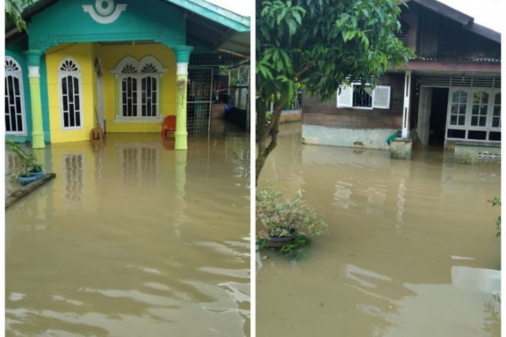 Ratusan Rumah di Besitang-Tanjungpura Terendam Banjir