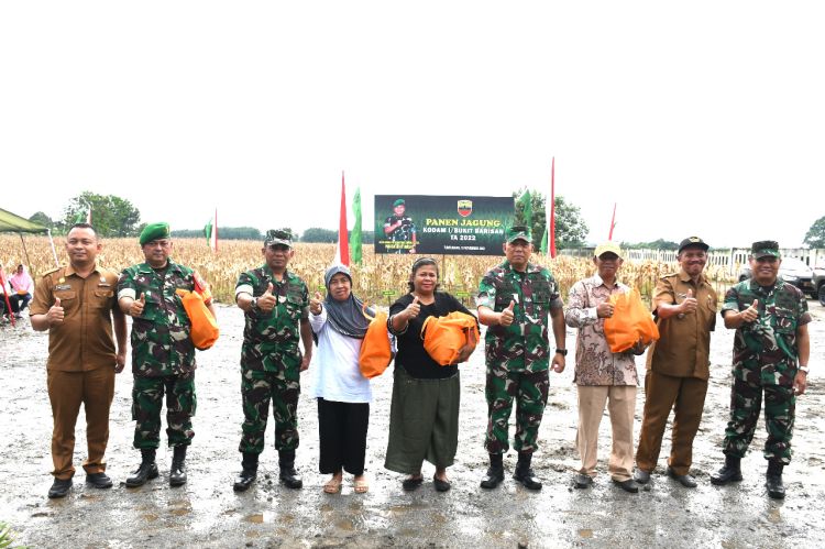Kolaborasi Kodam I/BB dan Santri Tani Panen Jagung untuk Ketahanan Pangan