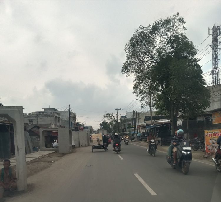 Banyak Pohon Pinggir Jalan Hilang di Medan Denai Akibat Proyek Drainase