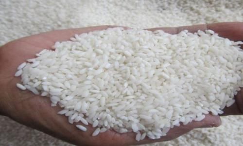 Harga Beras Medium Naik Tembus Rp12.550/Kg Jelang Nataru 2023