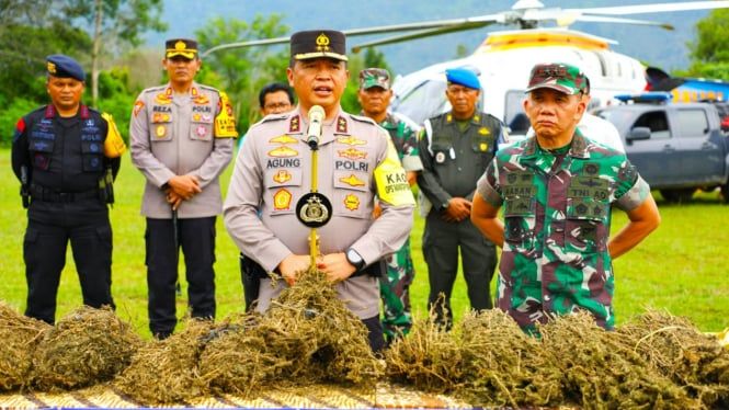 Poldasu Gunakan Teknologi Ungkap Ladang Ganja