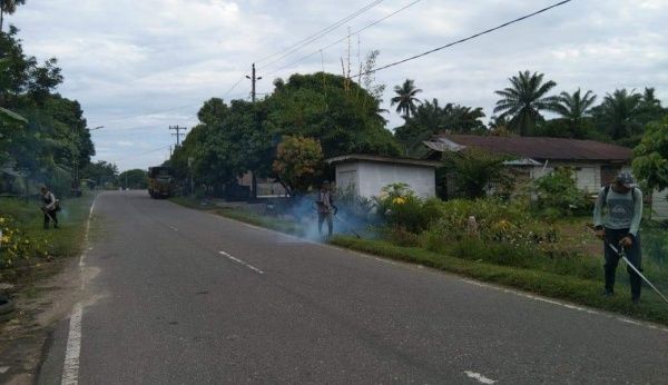 Pemkab Labura Bersihkan Bahu Jalan  Desa Aek Tapa